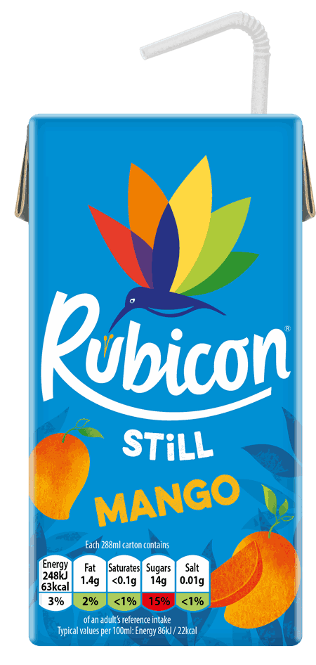Rubicon Mango Juice 288ml