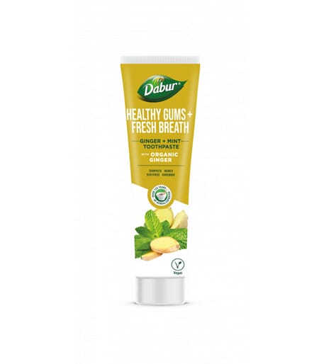 Dabur TP Ginger Mint 100ml