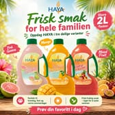 Haya - Rik Smak